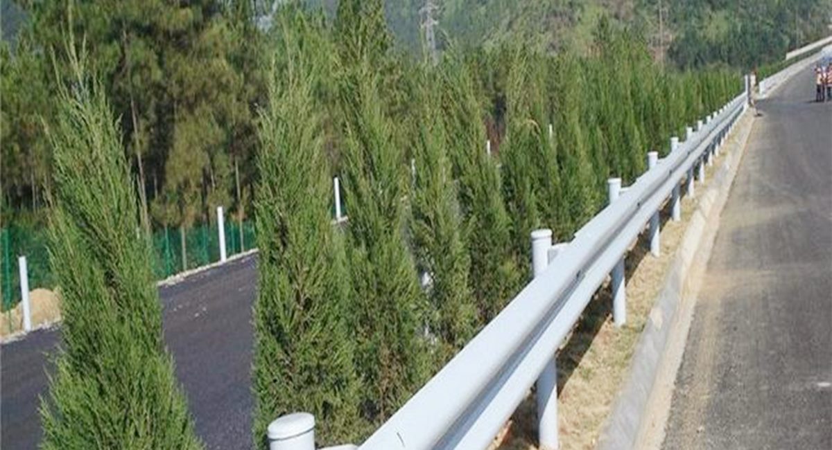 波形護(hù)欄板、鄉(xiāng)村道路護(hù)欄、單波護(hù)欄板世騰加工定制